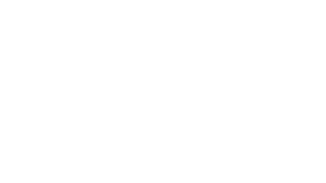 NavLogo